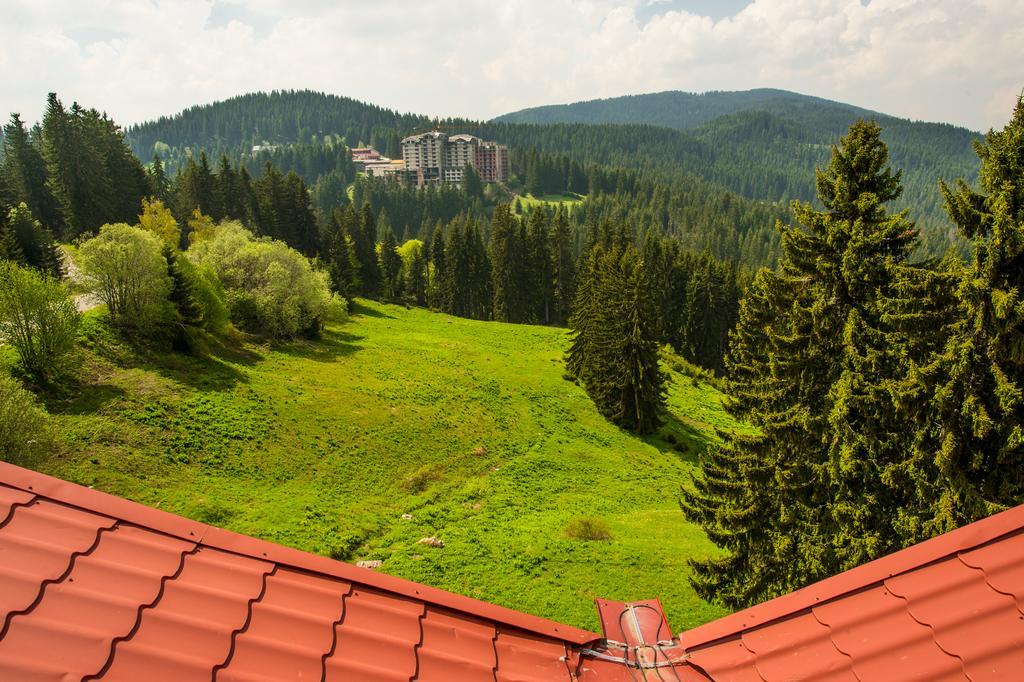 Snezhanka Hotel Παμπόροβο Εξωτερικό φωτογραφία